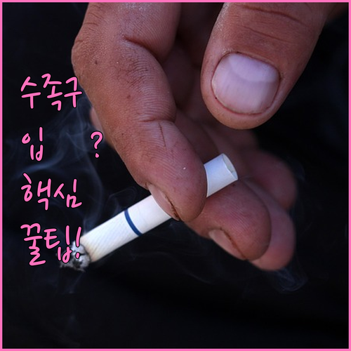 수족구 입원 치료 기준 및 가정 간호..