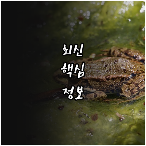 2025 장애학생 취업 성공 학교 신..