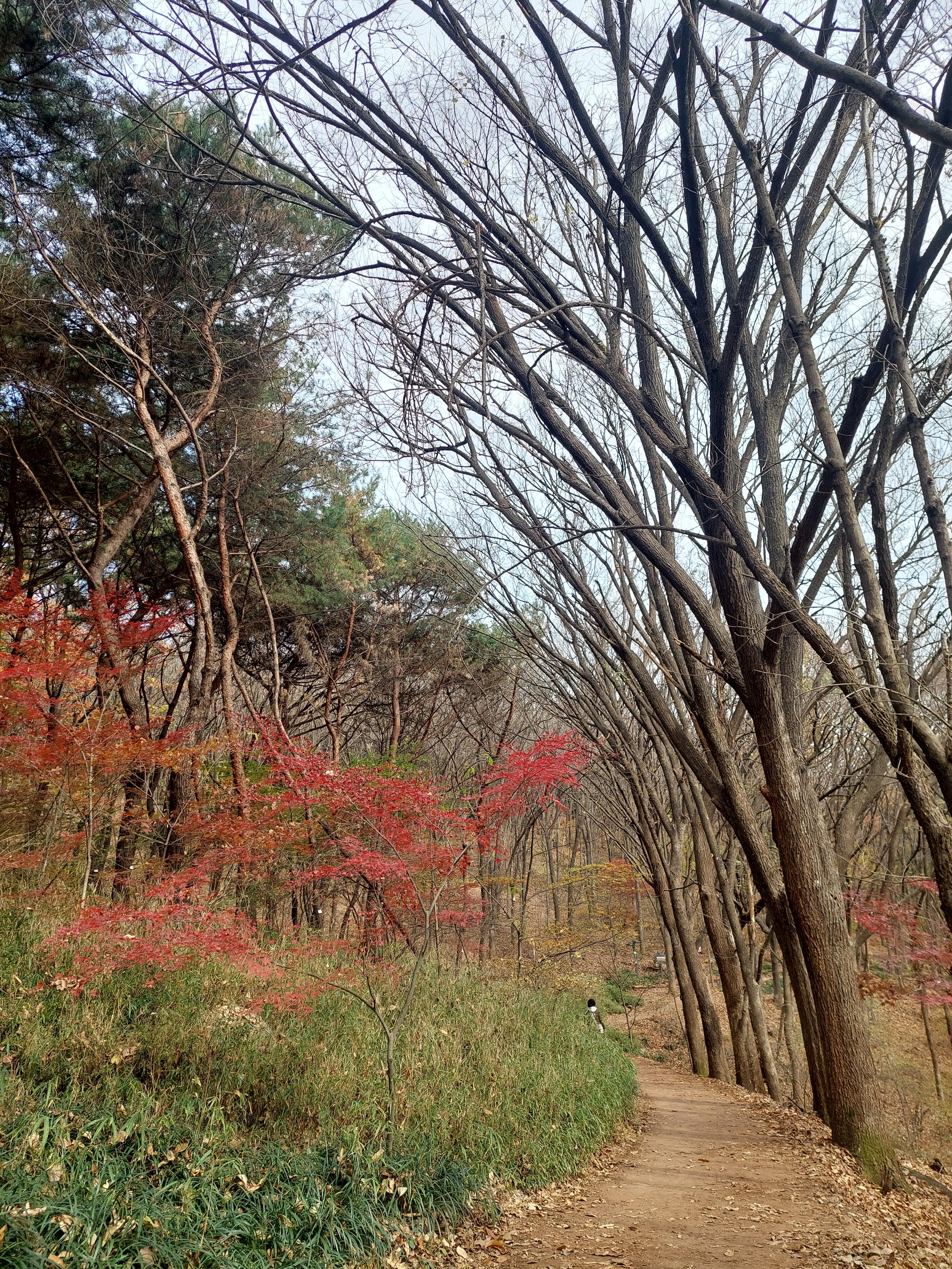 안산