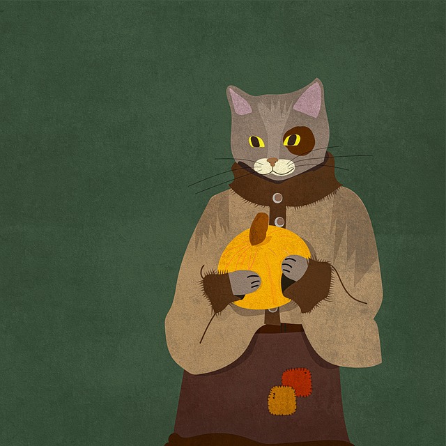 검은 고양이 꿈 해몽 풀이