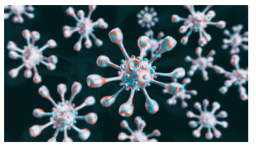 헤르페스 2형 성병 증상