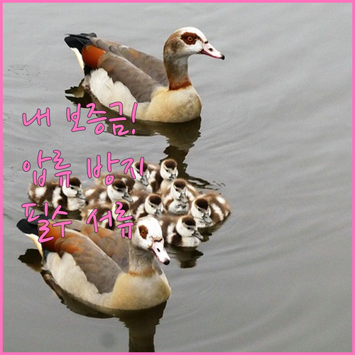 월세 보증금 반환금 압류 방지 전략 ..