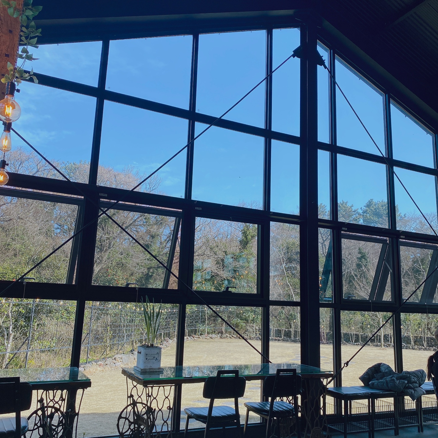 제주 조천 거문오름 2085카페