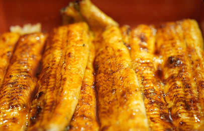 장어 구이 사진