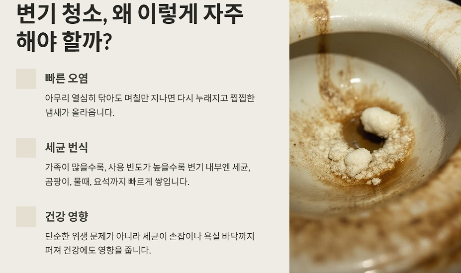 변기 청소, 왜 이렇게 자주 해야 할까?