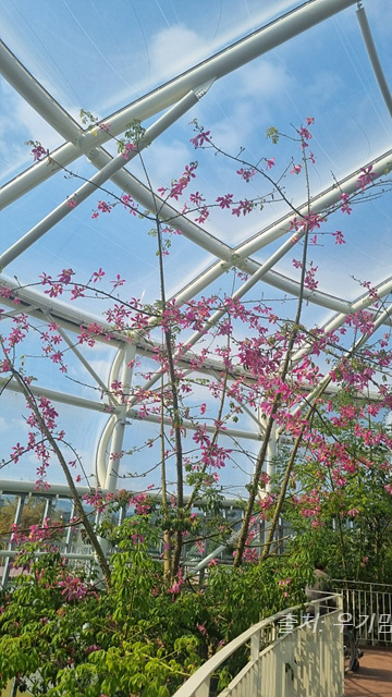 24년 순천만 국가정원 식물원 동문 순천여행