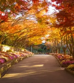 화담숲-입장료-할인-운영시간