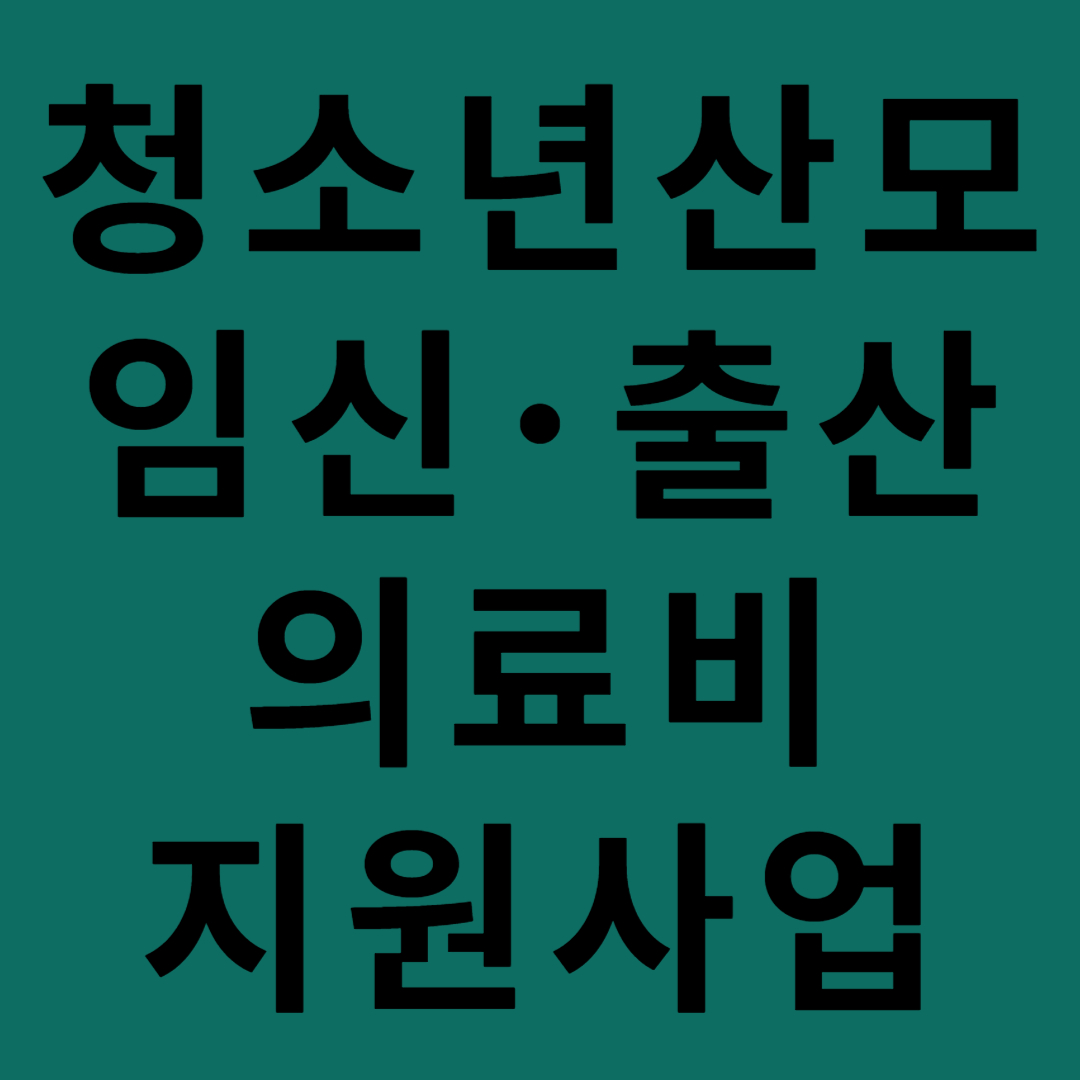 청소년산모 임신・출산 의료비 지원사업 이라고 써있는 사진