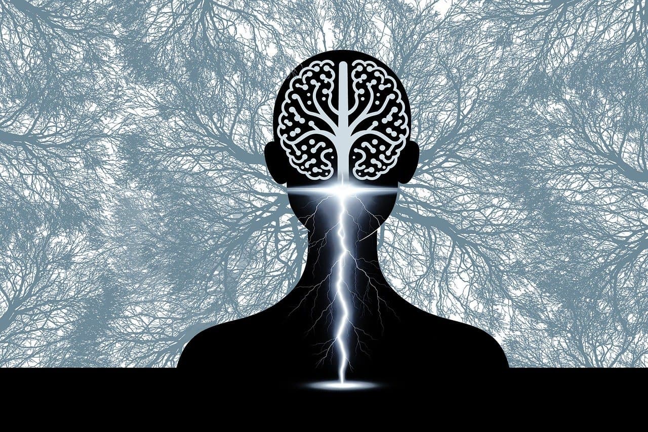 피곤한 이유, 신경 때문일까? 자율신경계와 만성 피로의 숨은 관계