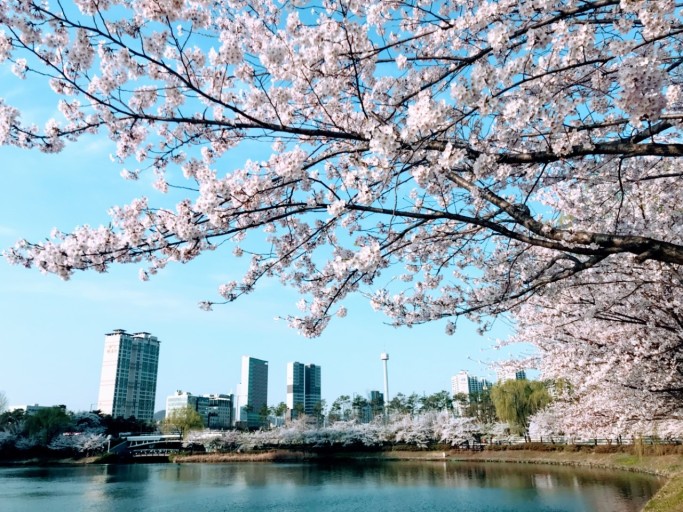 석촌호수 공원 시체