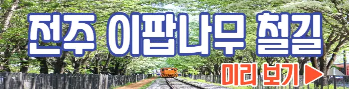 전주 이팝나무 철길 개방_1