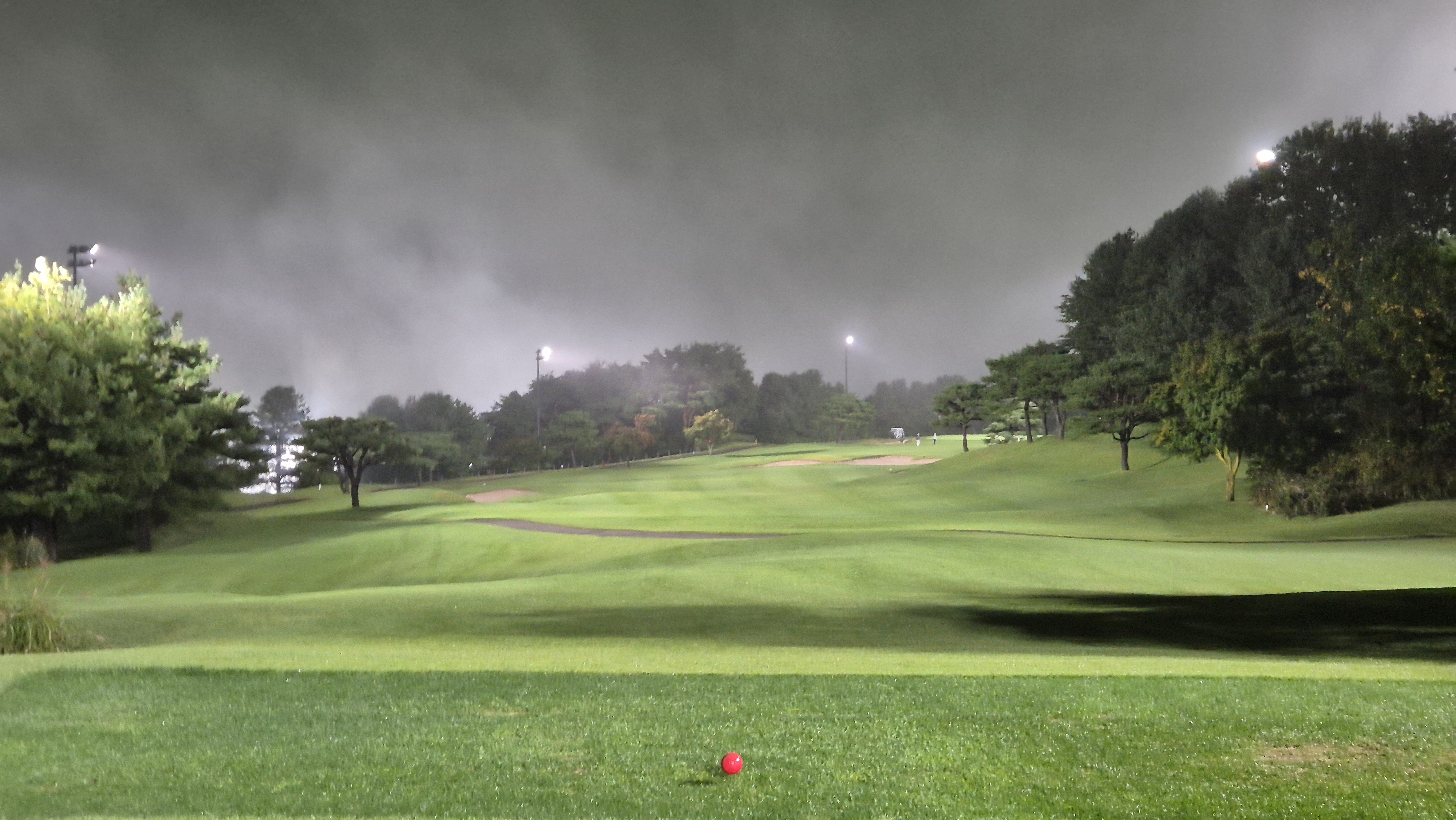 블루원용인cc 중코스