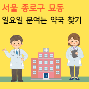 서울 종로구 묘동 일요일 문여는 당번 약국
