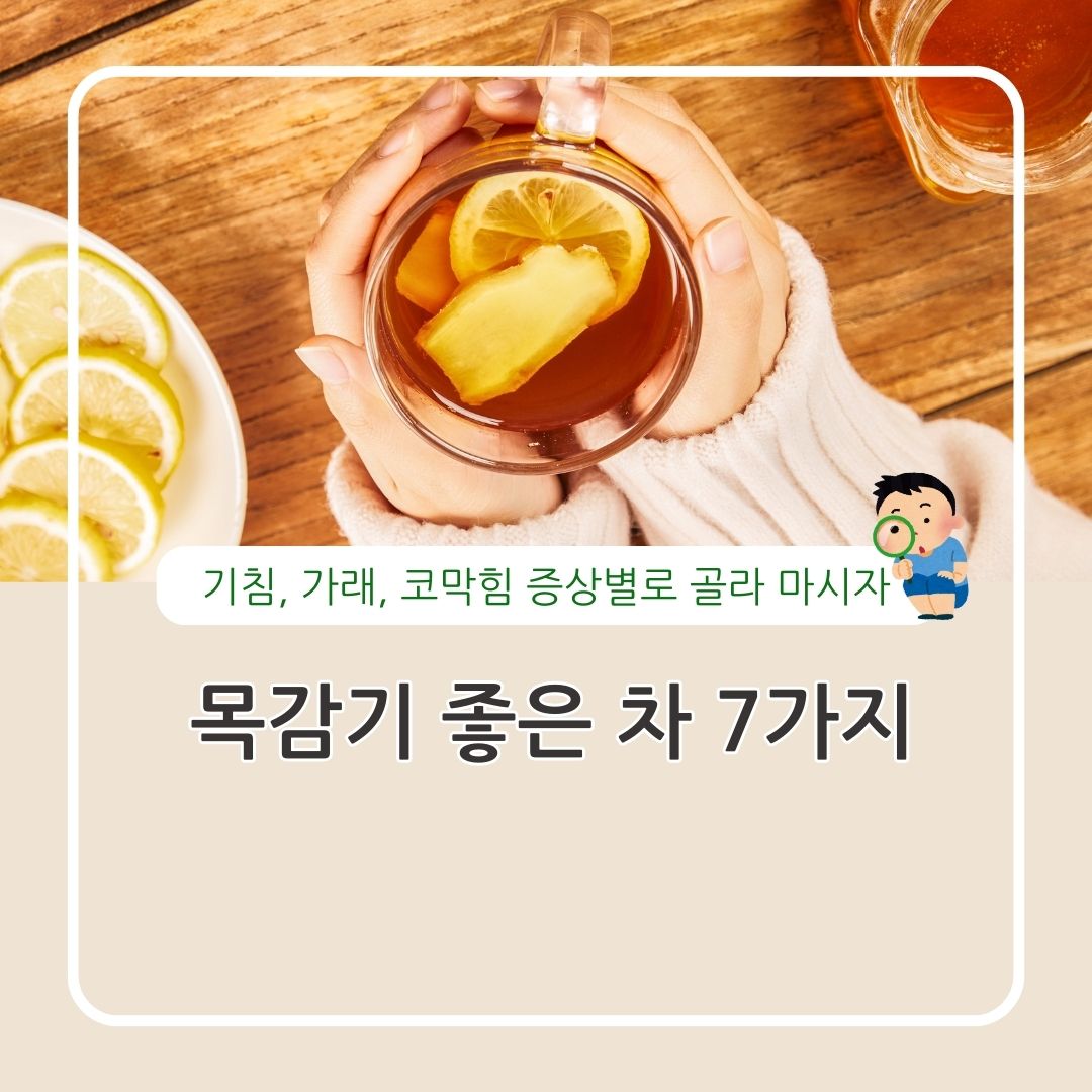 감기에 좋은 차 꿀레몬차 대추차 생강차 도라지차 마시는 방법 정리