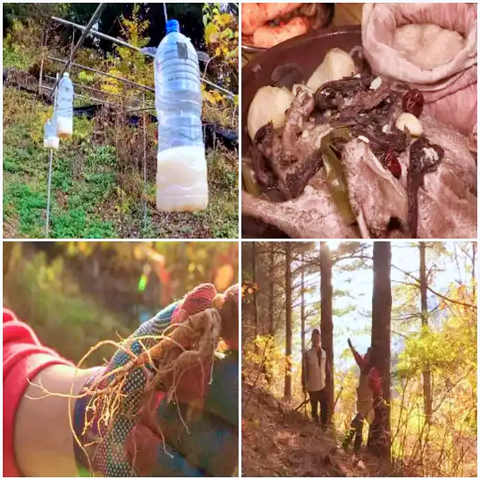 이승윤 윤택 나는 자연인이다 능이 오리 백숙 요리 공주는 즐거워 자연인 차연옥 소개 및 출연 528회 다시보기