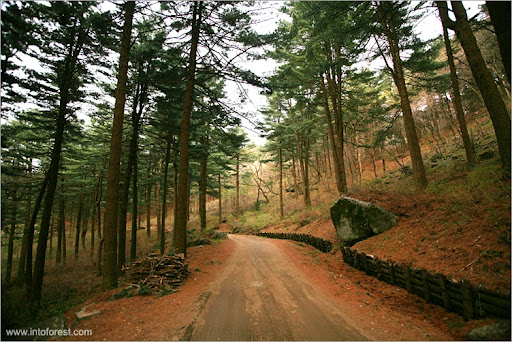 축령산 등산코스 안내 및 지도