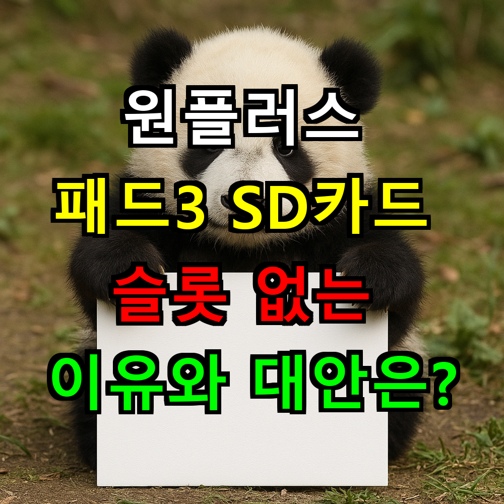 원플러스 패드3 SD카드 슬롯 없는 이유와 대안은?