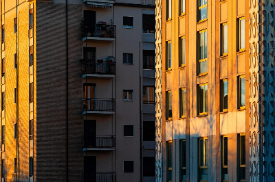 전월세신고제 과태료