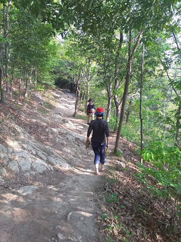 맨발 걷기