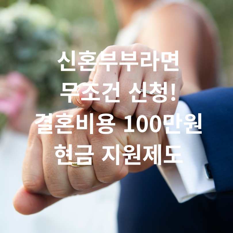 서울시 결혼비용 100만원 현금 지원제도
