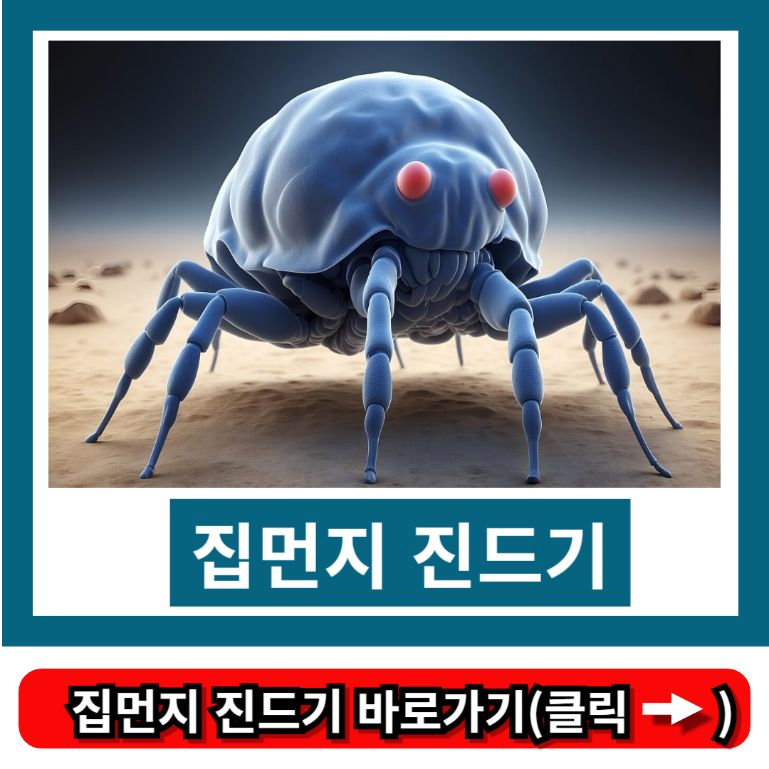 집먼지 진드기
