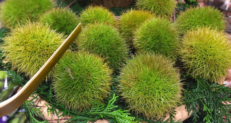 밤의 효능과 부작용 4