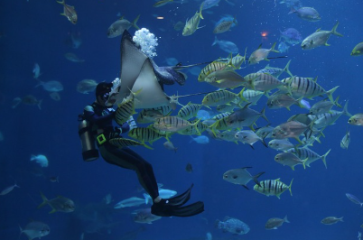 여행·관광업계 희귀 직업 TOP 10