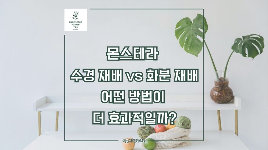 몬스테라 수경 재배 vs 화분 재배, 어떤 방법이 더 효과적일까?