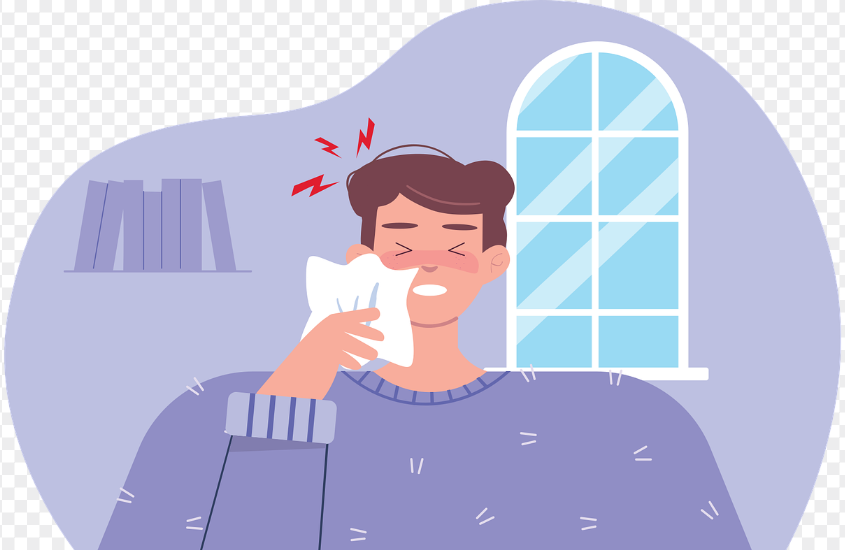 프로폴리스 비강 점막 염증 조절