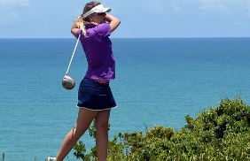 골프채 샤프트 강도