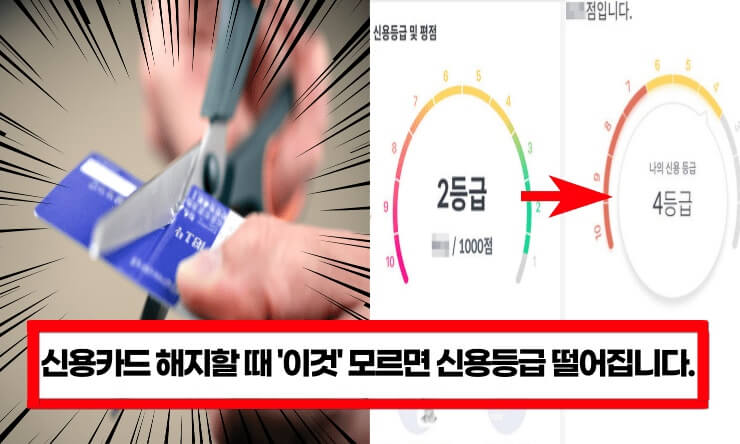 신용/체크카드 해지방법