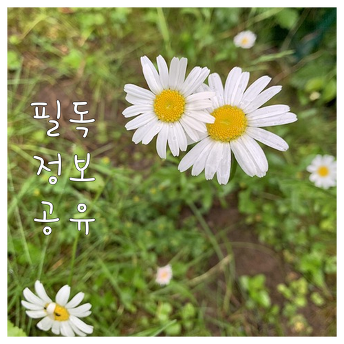 2025 울산 울주군 정신질환자 치료..