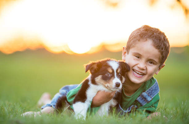 분양과 입양의 장단점 비교