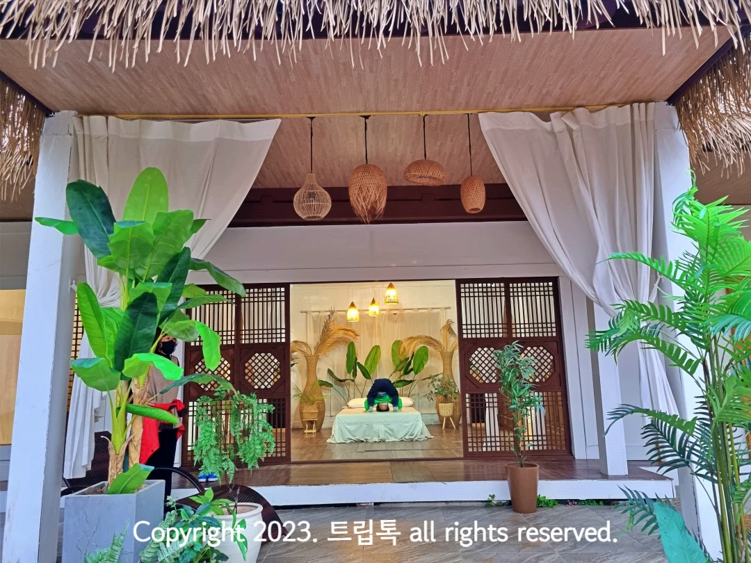동남아 풀빌라 같이 꾸며진 공간이다. 큰 식물과 하얀 커텐이 보인다.