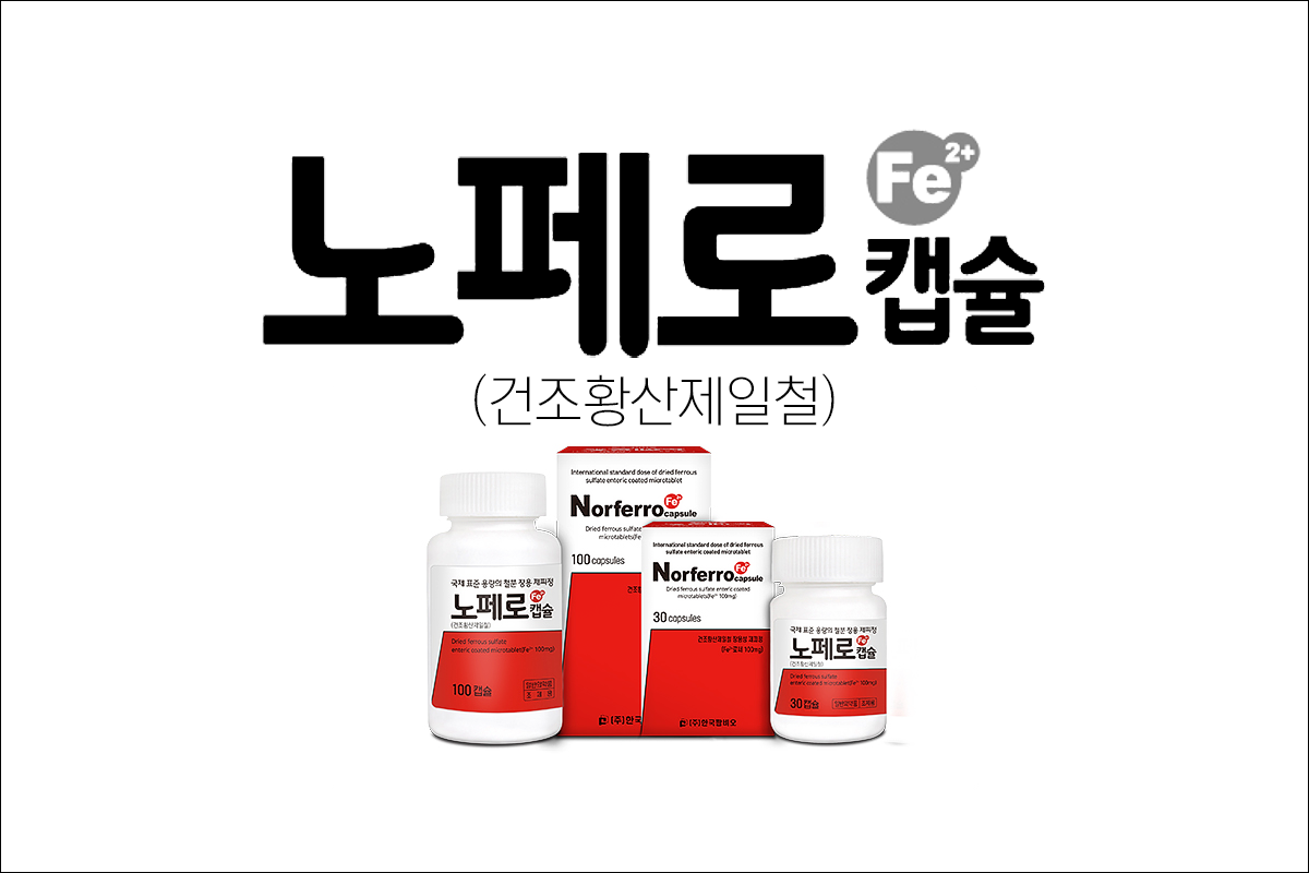 철 결핍성 빈혈 치료제 노페로캡슐(Norferro Cap.)