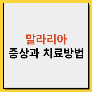 말라리아 증상 전염 치료