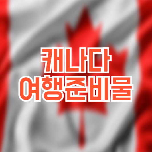 캐나다 여행 준비물, eTA신청