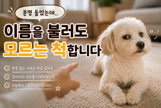 반려견 행동으로 심리를 알수있는 방법을 설명하는 이미지