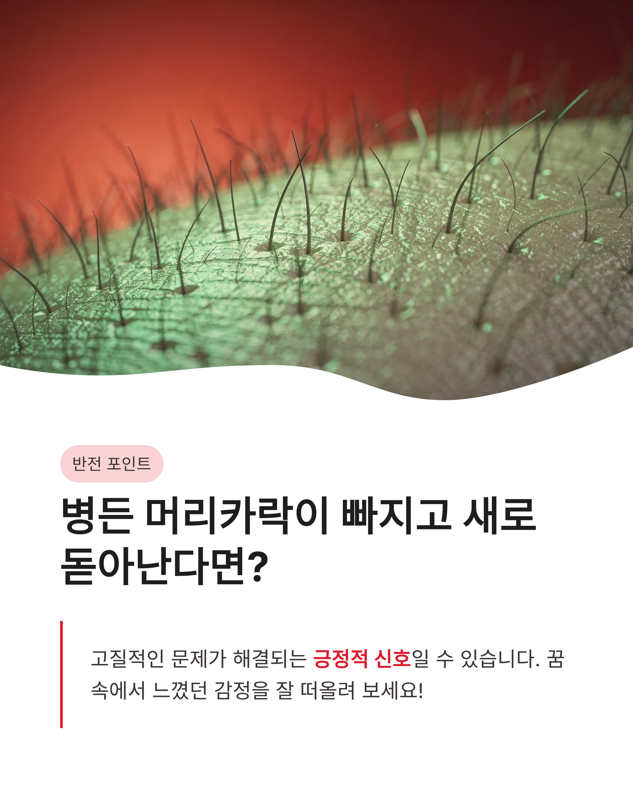 머리카락꿈 해몽 ❘ 머리카락 자르는 꿈 빠지는 꿈 흰머리 상황별 완벽 풀이!