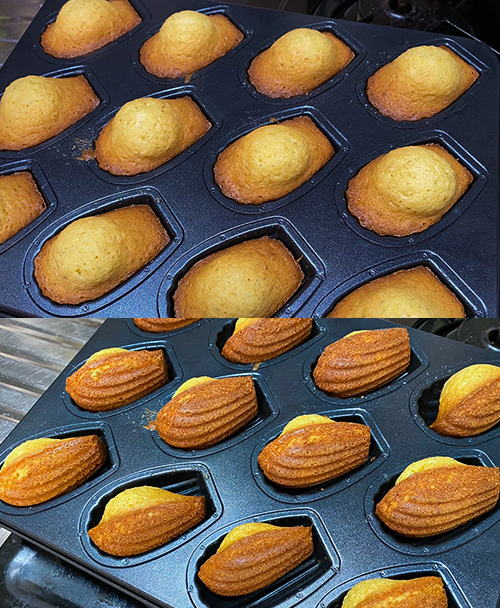 마들렌 배꼽 사진