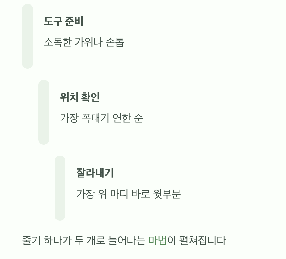 초보자도 할 수 있다! 순지르기 실전 방법