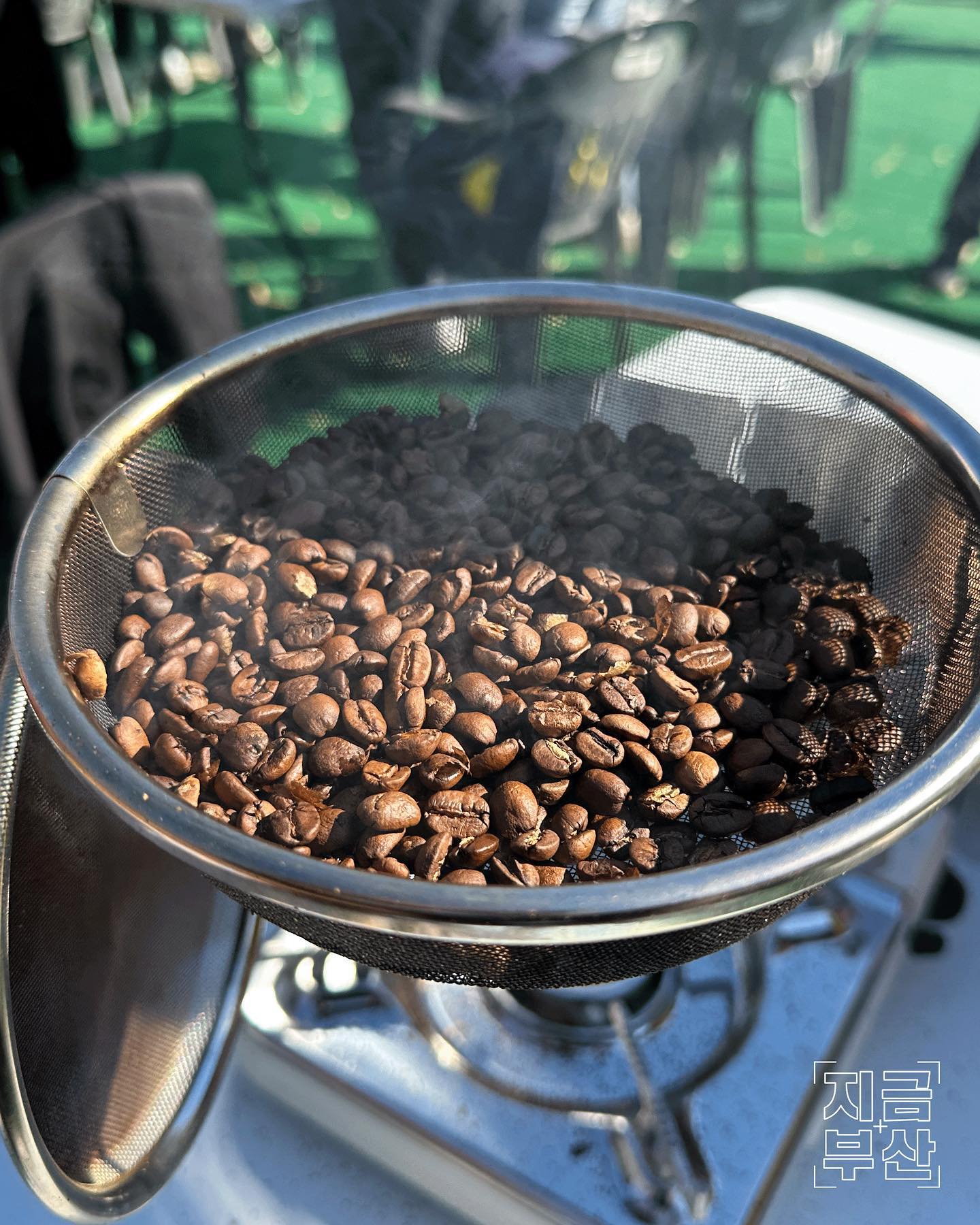 2024 글로벌 영도커피페스티벌 기본정보와 프로그램 정리