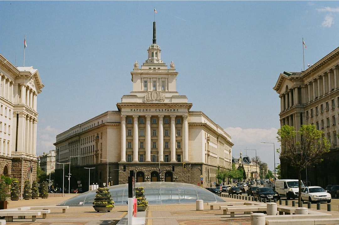 local government