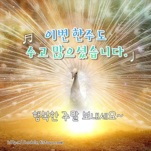 수고하셨어요-이미지