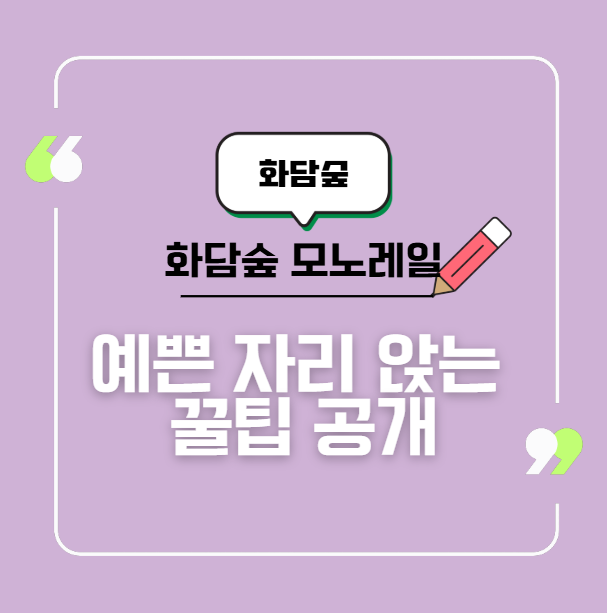 화담숲 모노레일 완전정복! 예쁜 자리 앉는 꿀팁 공개