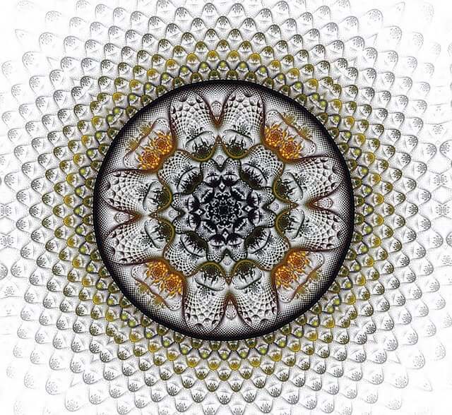 은둔형 가족 디지털유산