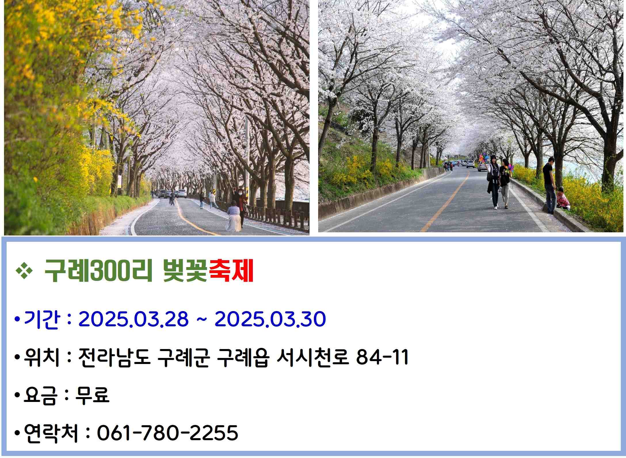 구례300리 벚꽃축제