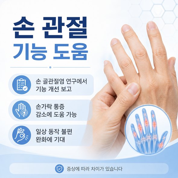 콘드로이친 효능