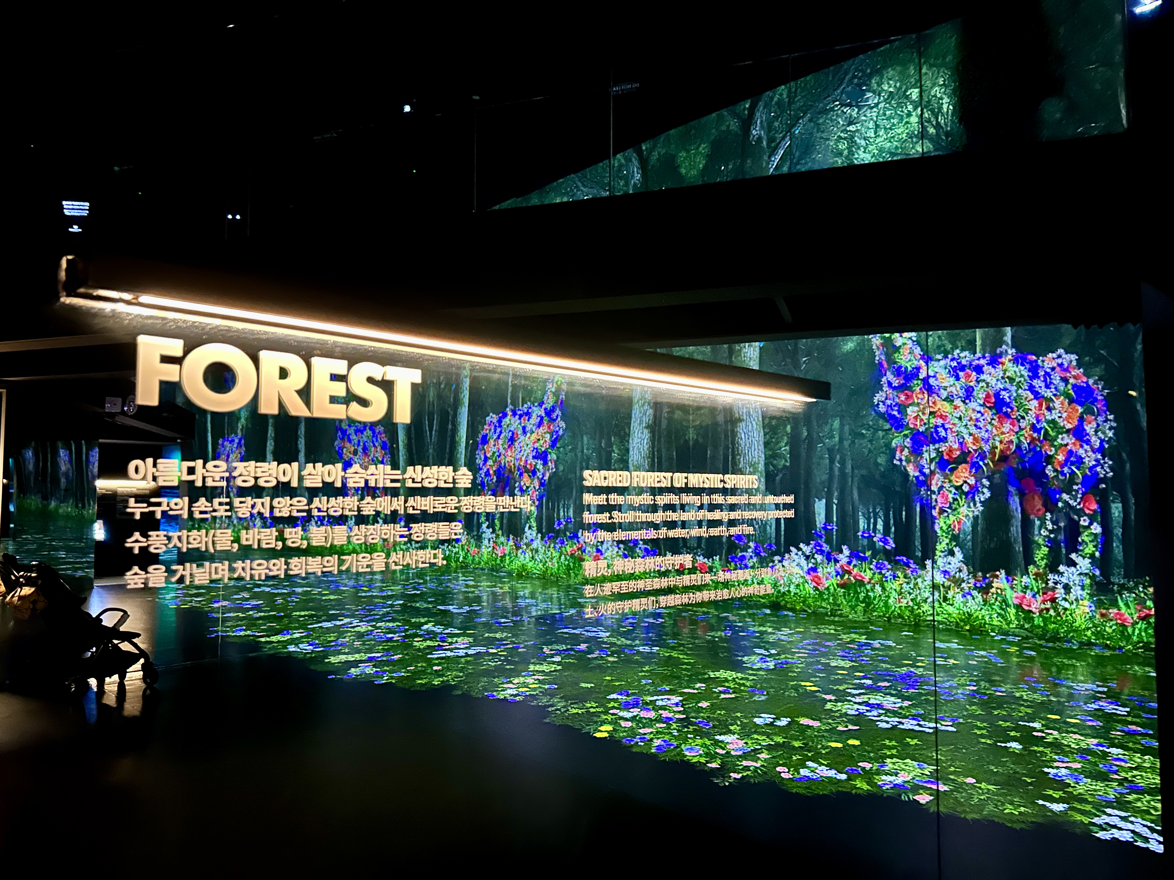 강릉 아르떼 뮤지엄 포레스트