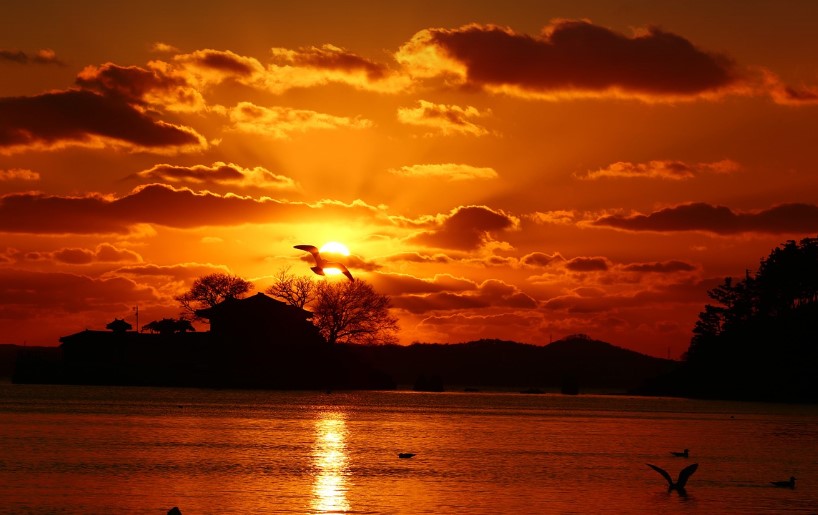 서산의 일몰관련사진